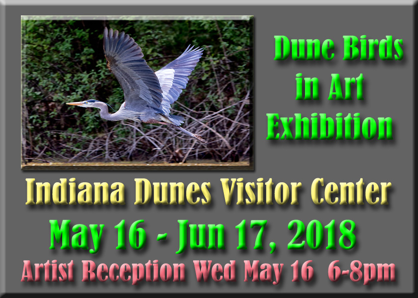 Dunes Bird Exhibition