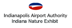 Indy Airport logo