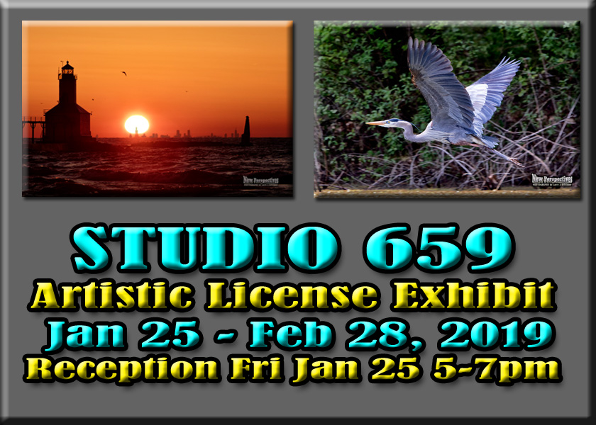 Studio 659 "Artistic License"
