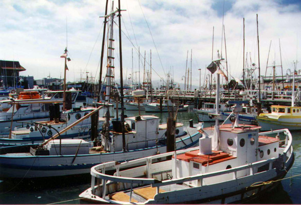 Fisherman's Wharf Harbor
