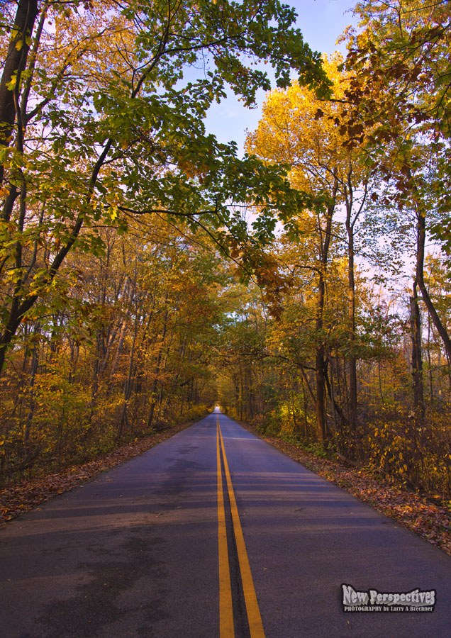 Autumn Road #61