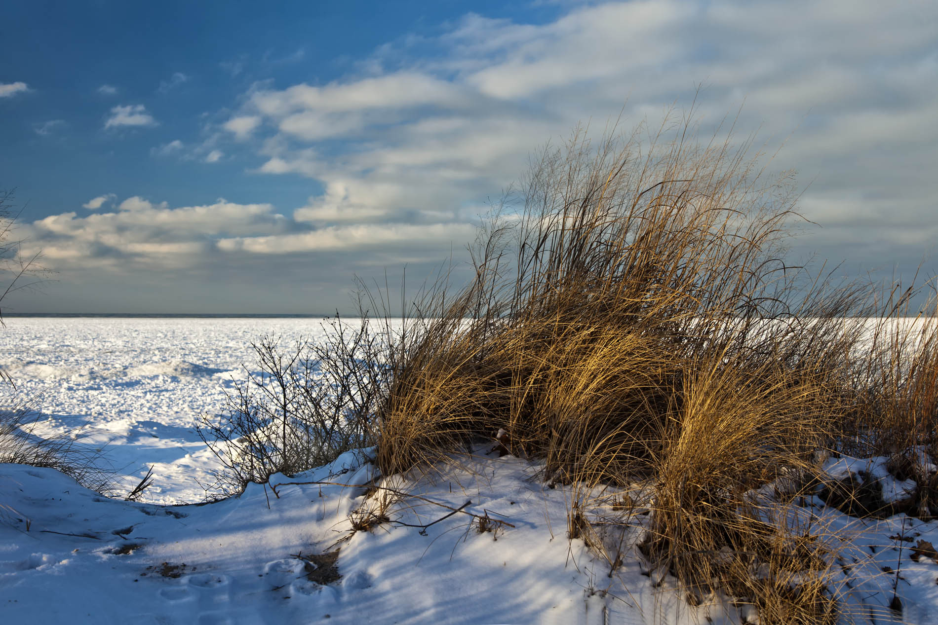 Winter Dunes Lakeshore