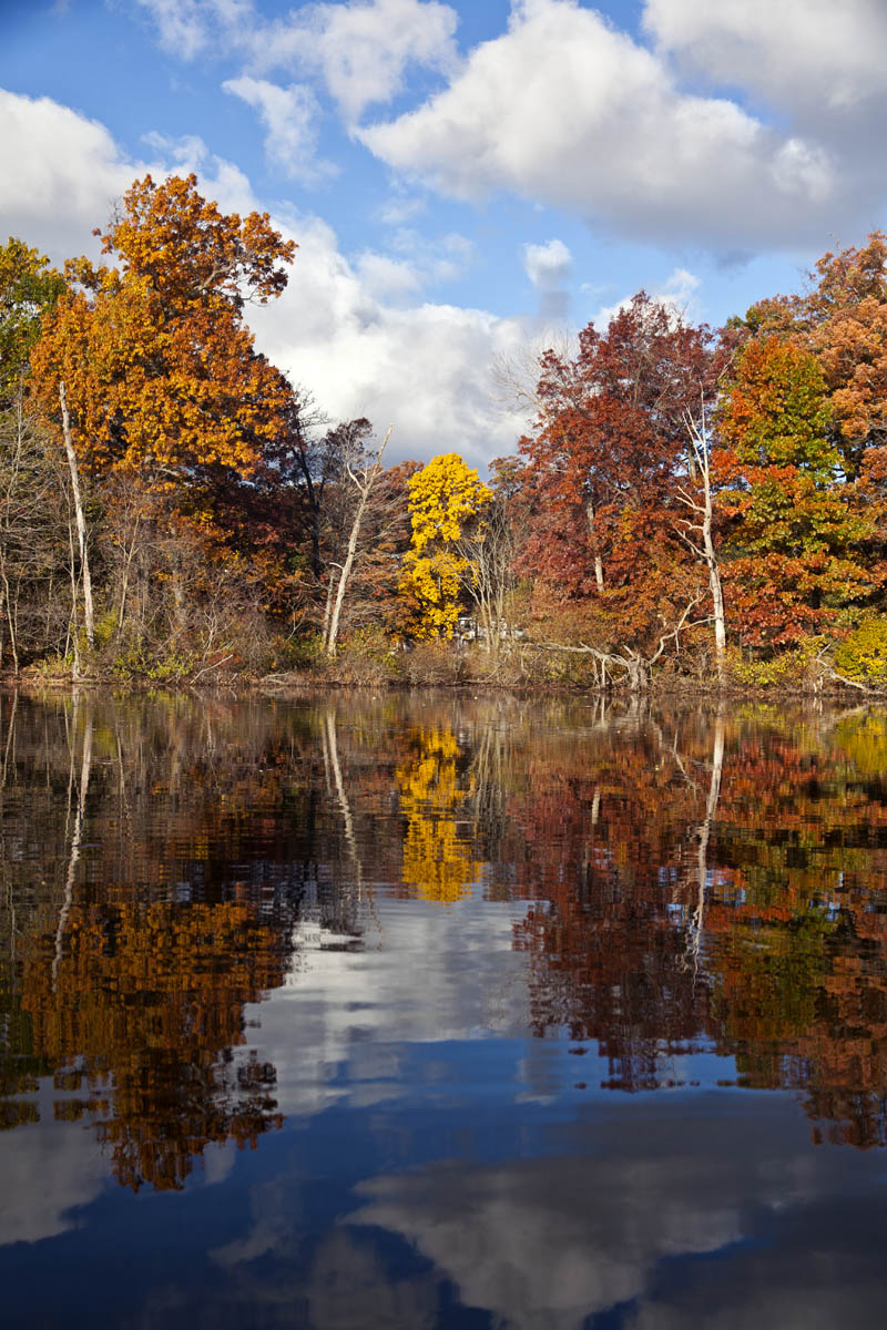 Autumn Lake 276