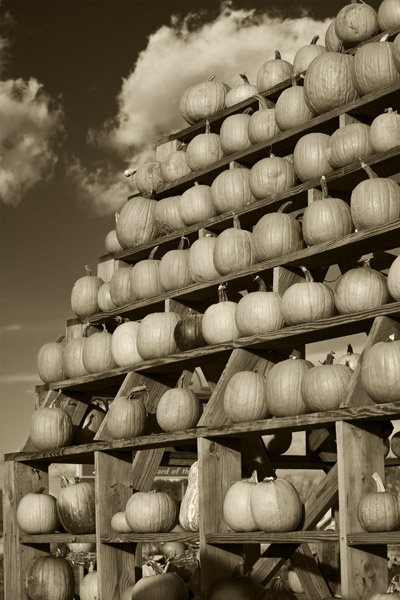 CLO Pumpkin Tower #11