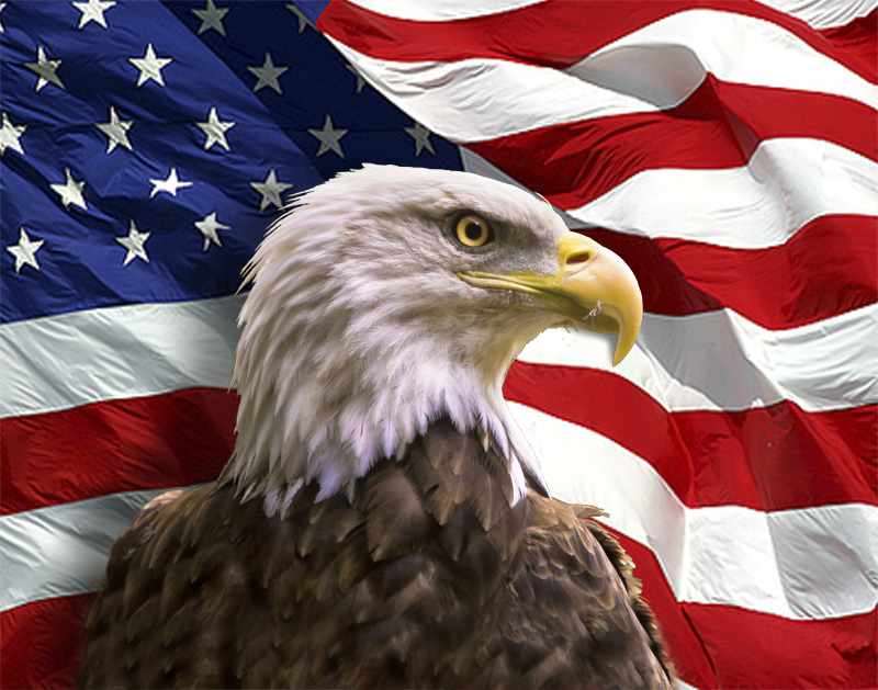 Eagle-Flag
